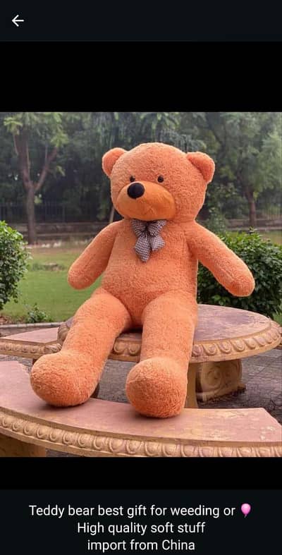 Teddy bear# Gifts # Imported teddy # Gaint teddy #03254187063