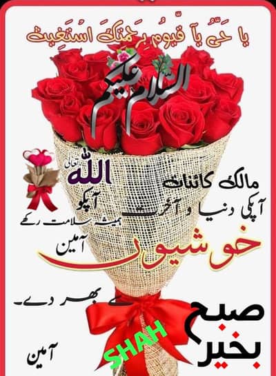 Ghar Kam kaj k lite larke ki zarorat ha