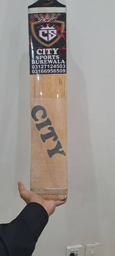 10/10 cricket bat prize 19999