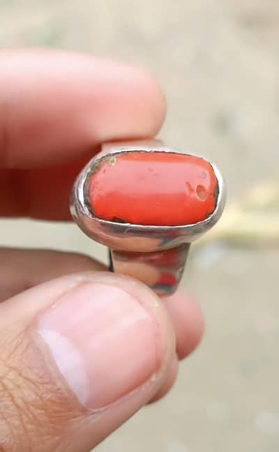 old Italian marjan available