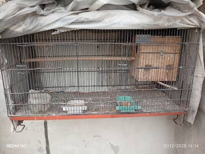 Two Folding Cages & Cocktail Breeding Boxes