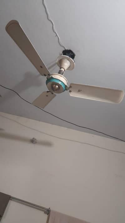 Madina 48inch Pedestal