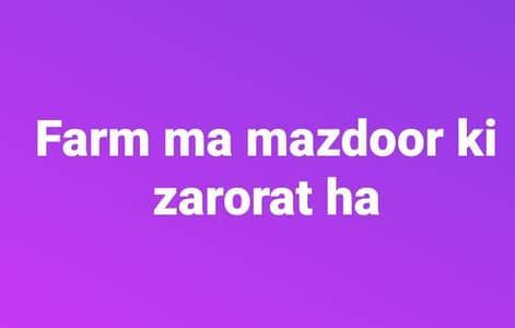 مجھے اپنے ڈیرہ فارم کے لئے ایک مزدور کی ضرورت ہے ۔