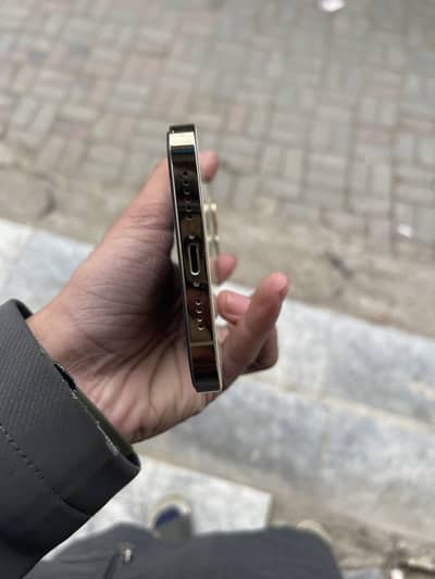 iPhone 12 Pro Max jv