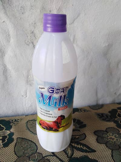 fresh pure goat milk available 03151477763 waqas attari,