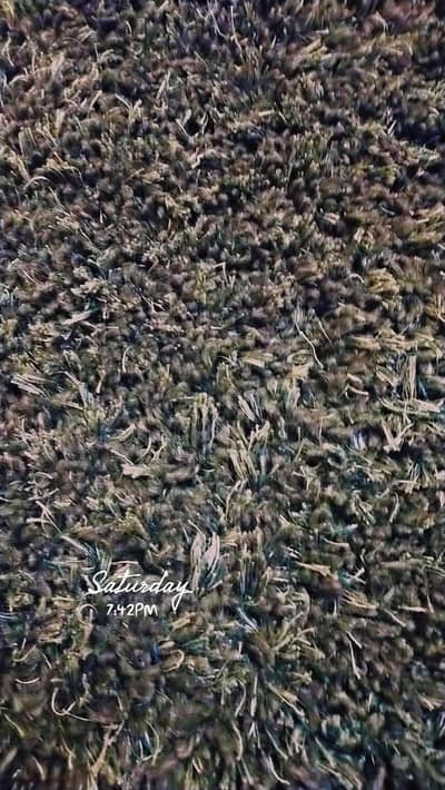 Shaggy Rug – 75” x 55” – Plush & Cozy Statement Piece