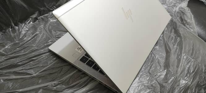i5 10th hp professional 's Laptop