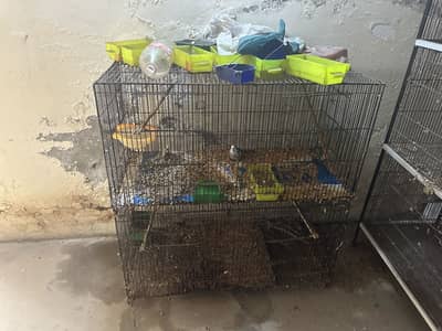 Selling my cages 15k each