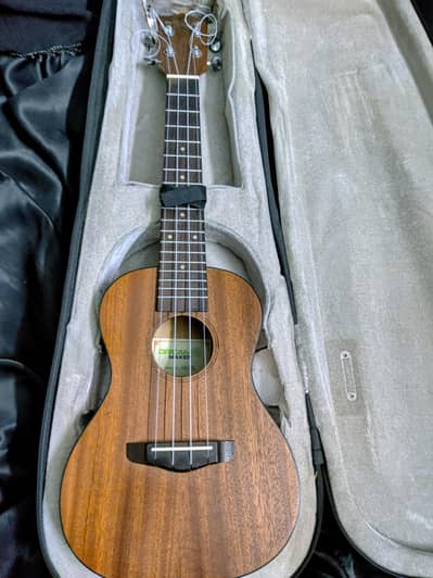 Professional ukulele concert size with hardcase all mahogany new