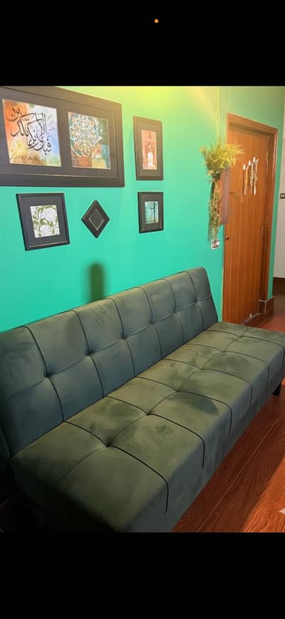 Sofa cum bed (barely used)