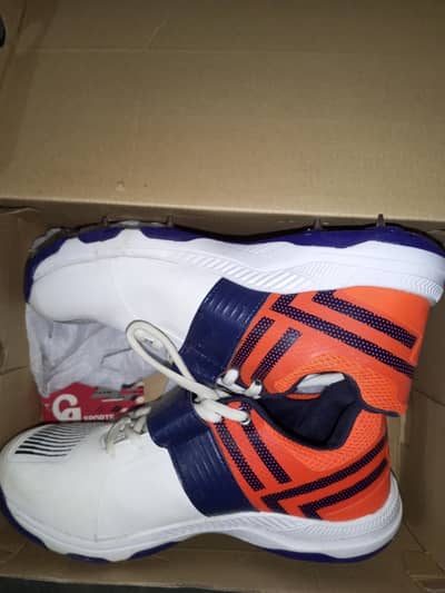 ca m8 spikes for sale best price range