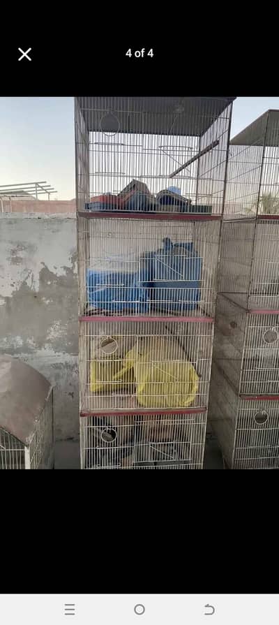 4 portion cage available for sale