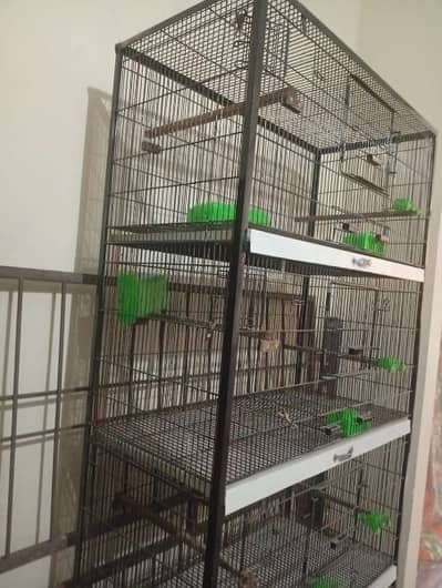 cage new condition