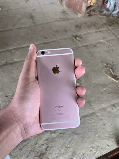 iphone 6s official pta