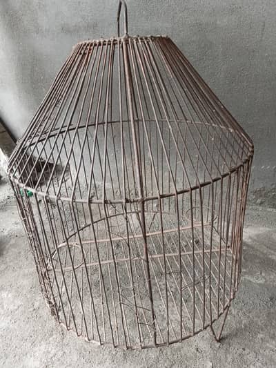 cage for hen and paret