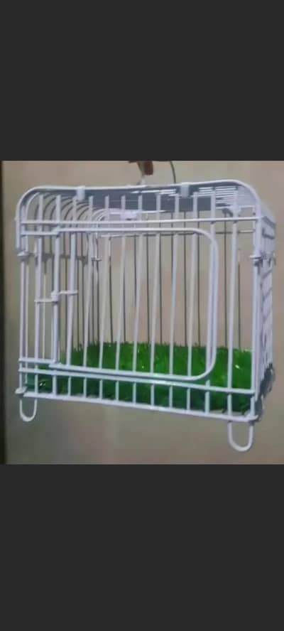 bird small cage