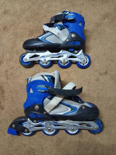 Imported Skating Adjustable Shoes