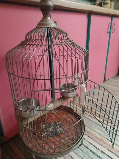 parrot cage