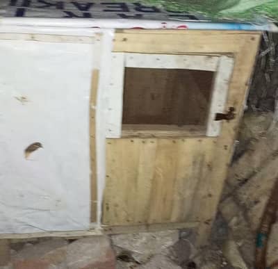 2 fit murbey ma ha jis ney Lena ha wohi rabta kare 3.1. 7.7. 2.9. 2.0. 4.9