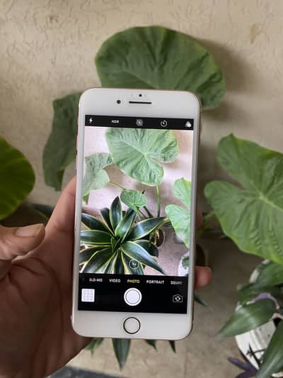 Iphone 7 plus pta official approved