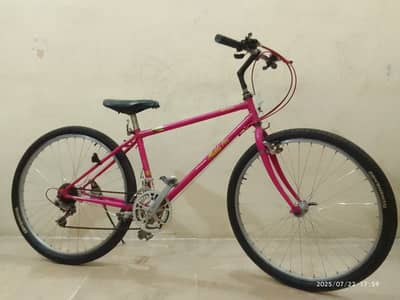 Araya American Bicycle