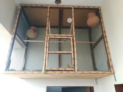 cage or 2 bajri toty ka jora hy