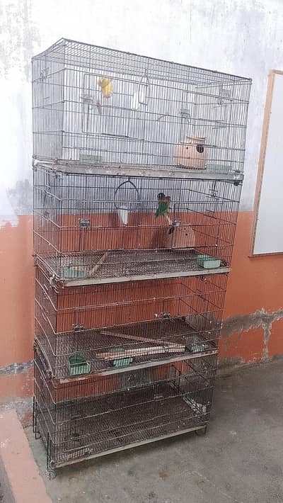 Parrot cage