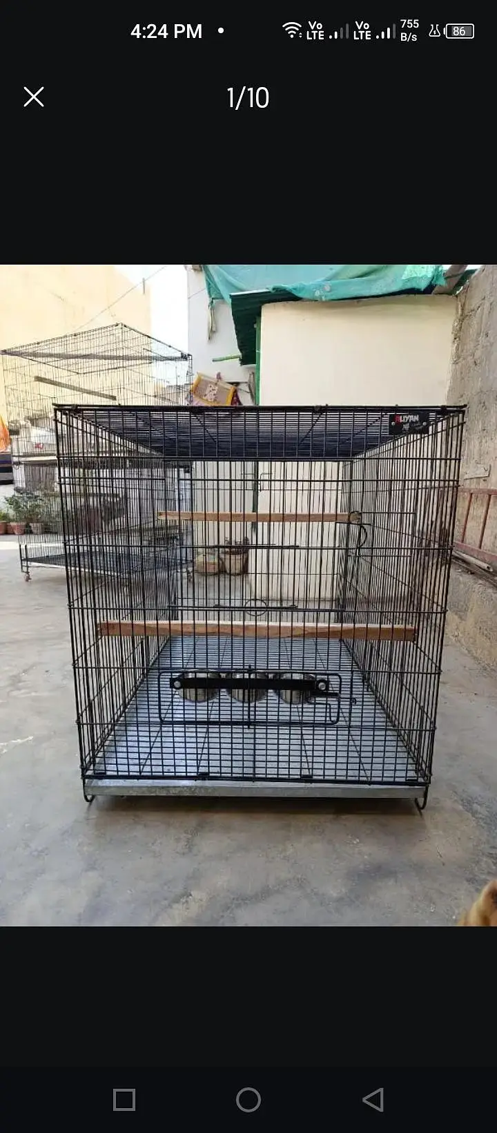 new cage ha