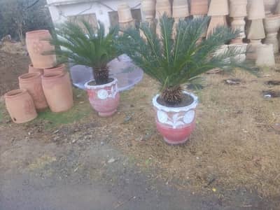 12 add pody 15000 final