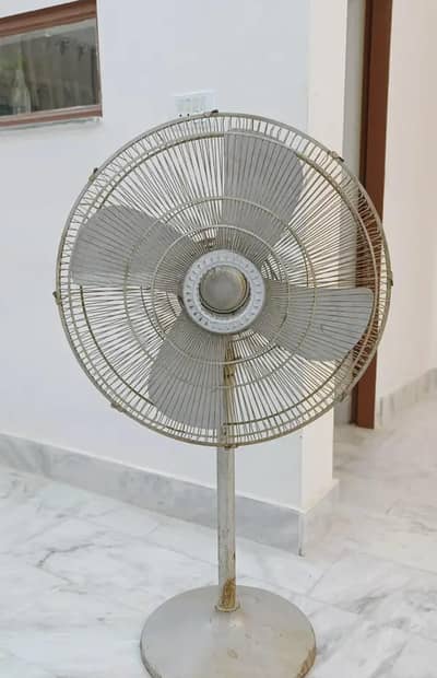 pedestal fan / stand fan