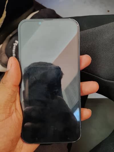 iphone 13 non pta