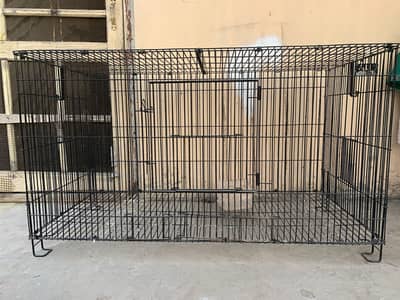Birds cage