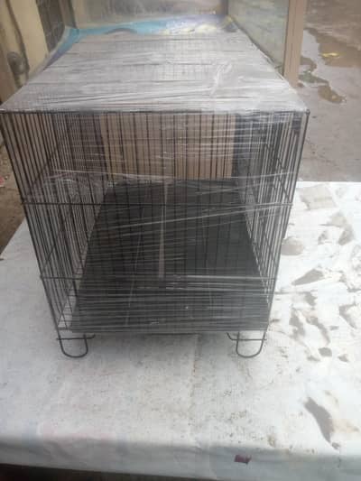 Birds Cage, Parrots