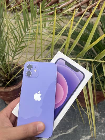 Iphone 12 pta approved 128 gb