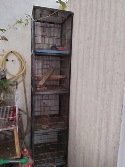 parrot cage