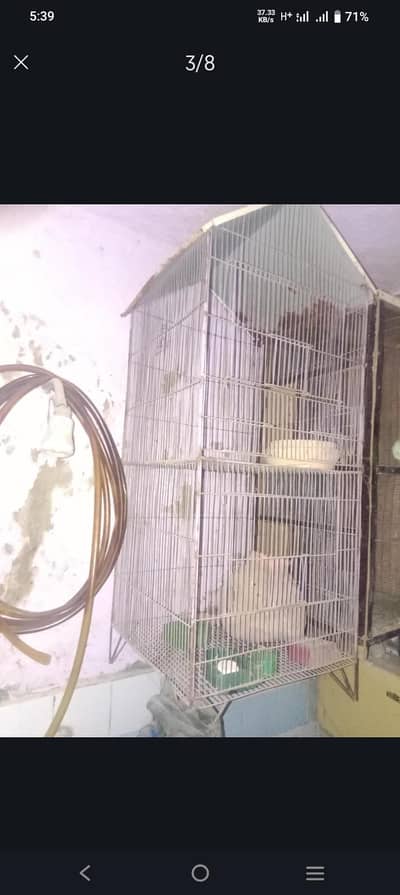 Cage for Sale Urgent
