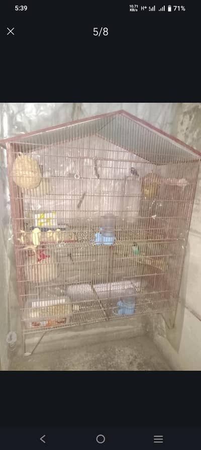 Cage for Sale Urgent