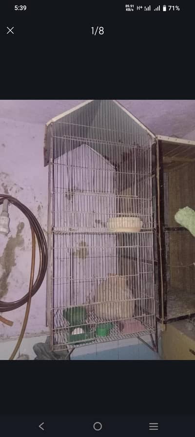 Cage for Sale Urgent