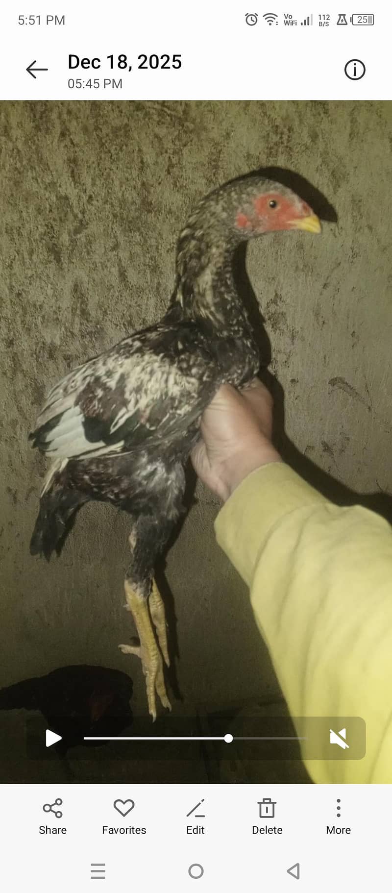 java patha phone #03497337794 1