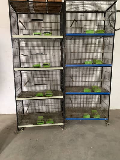 Love Birds Cages  2 Cages 4 Floor