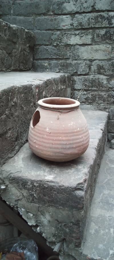 c,  Bajri Parrot Nesting Pots 60 plus,