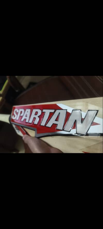 spartan sikander 1000 like hardball cricket bat
