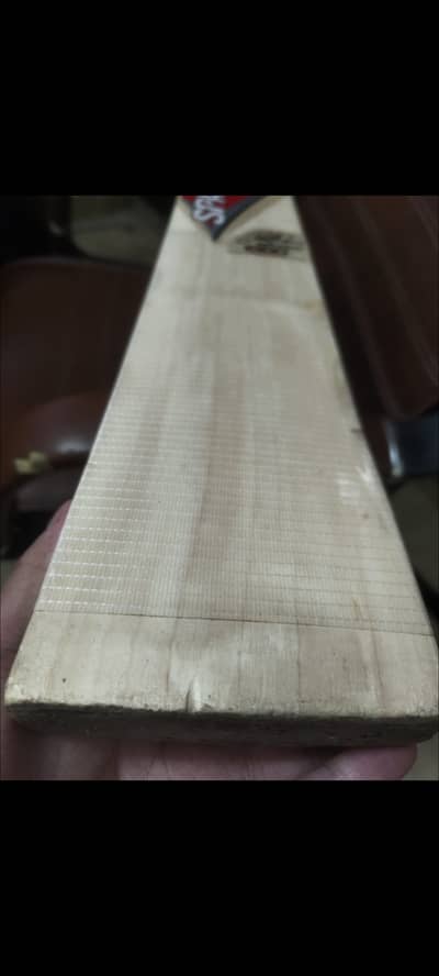 spartan sikander 1000 like hardball cricket bat