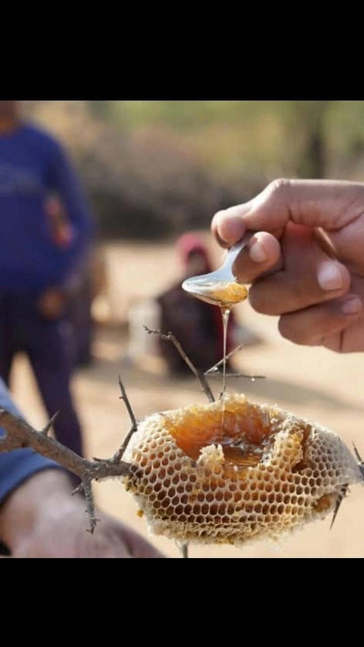 خالص جنگلی شہد  اور چاٹی کا تیار کردہ دیسی گھی 3