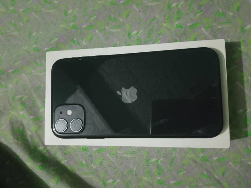 iPhone 11 1