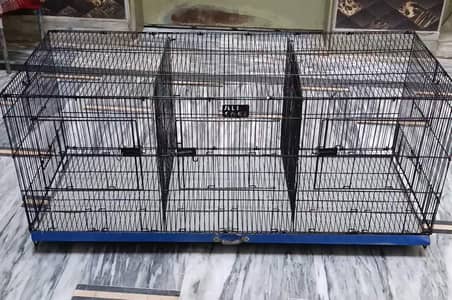 Cages and birds for sale