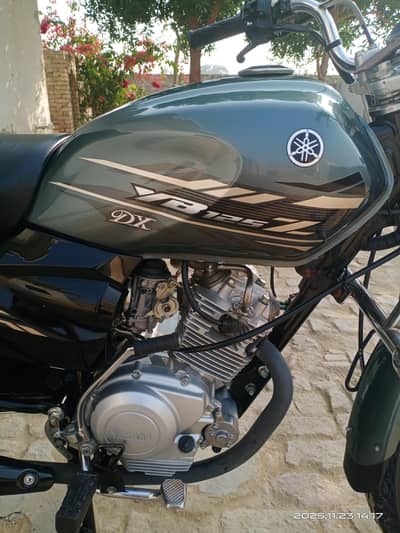 Yamaha ybz dx 2023 Model