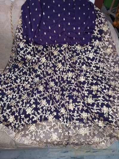 Beautiful lehenga with blouse