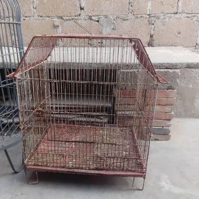 2. cage han for sell