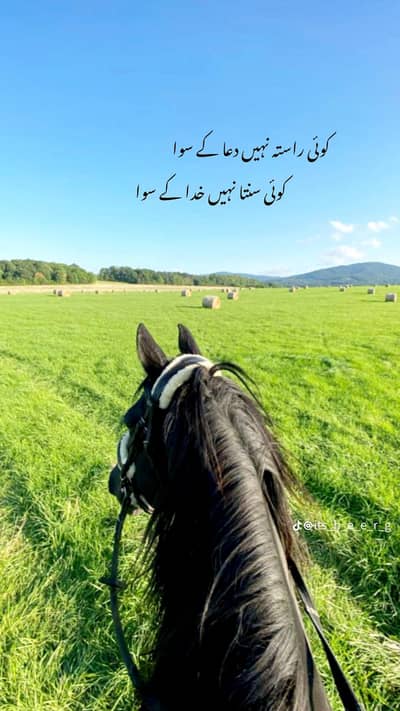 kkoi be kam ho rabta kary